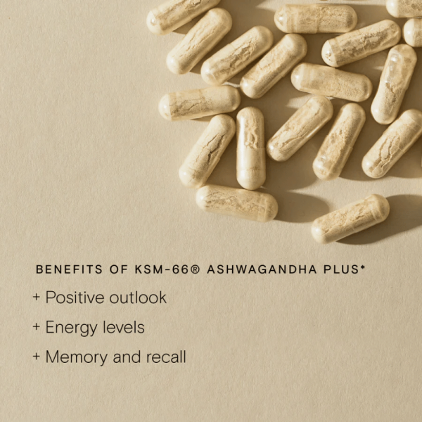 Wild Nutrition KSM-66® Ashwagandha Plus 60 Caps For Discount