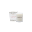 AromaWorks Winter Spice 10cl Candle Online